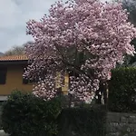 Dei Pini Canzo