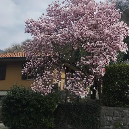 Dei Pini Canzo