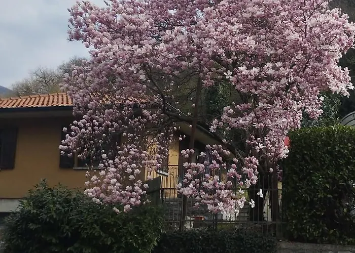 Dei Pini Canzo