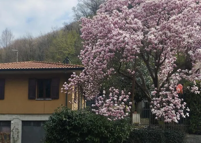 Vakantiehuis Dei Pini *